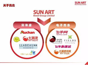 17頁ppt看懂 2017年中業績