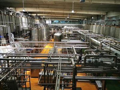 915旅行+ | 青島市文旅局媒體采風，領略不一樣的膠州風光